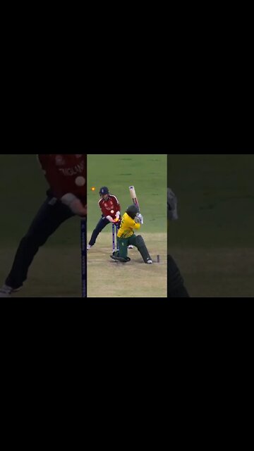 #cricket