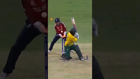 #cricket