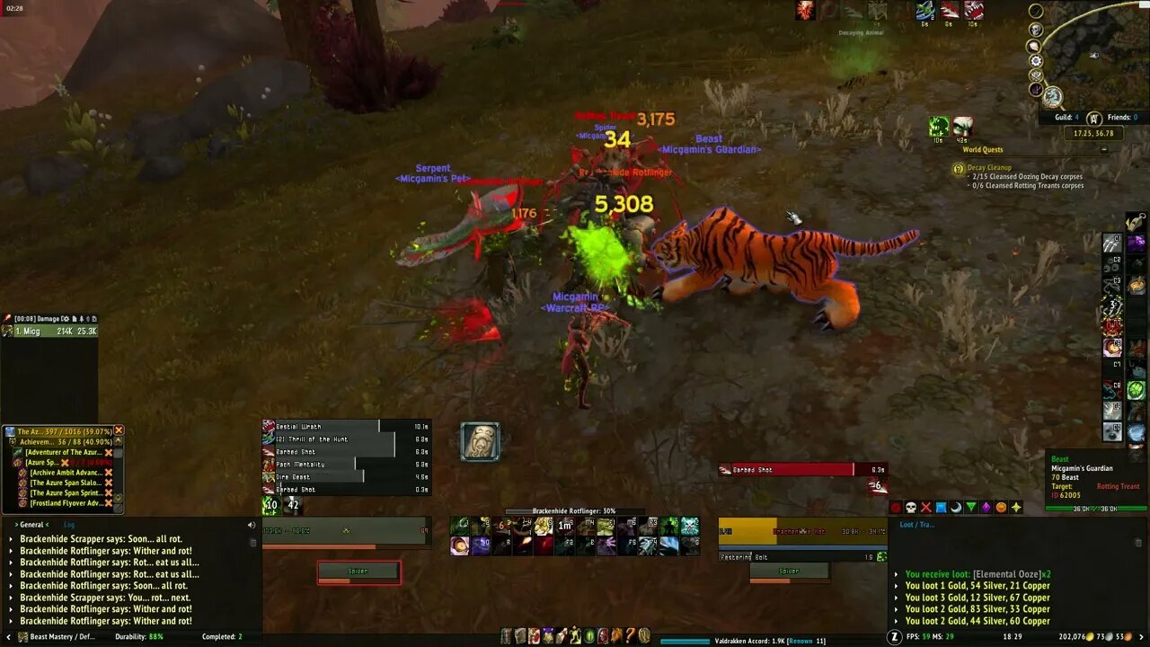 World of Warcraft Dragonflight Decay Cleanup