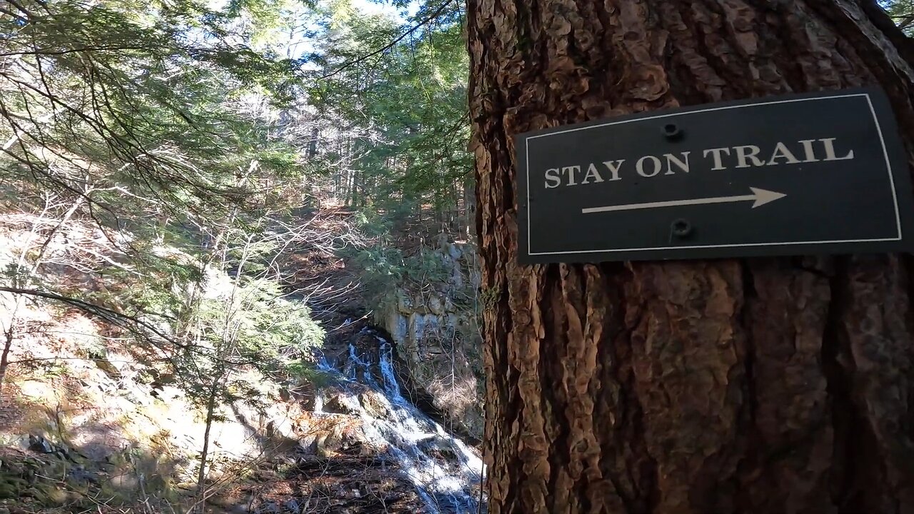 Stay on Trail