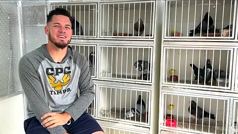 Pigeon men flock to native traditional competition