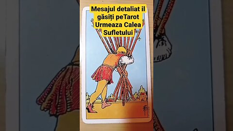Mesajul zilei #zodii #tarotreading #2023