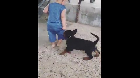 Baby troll dog and unexpected ending