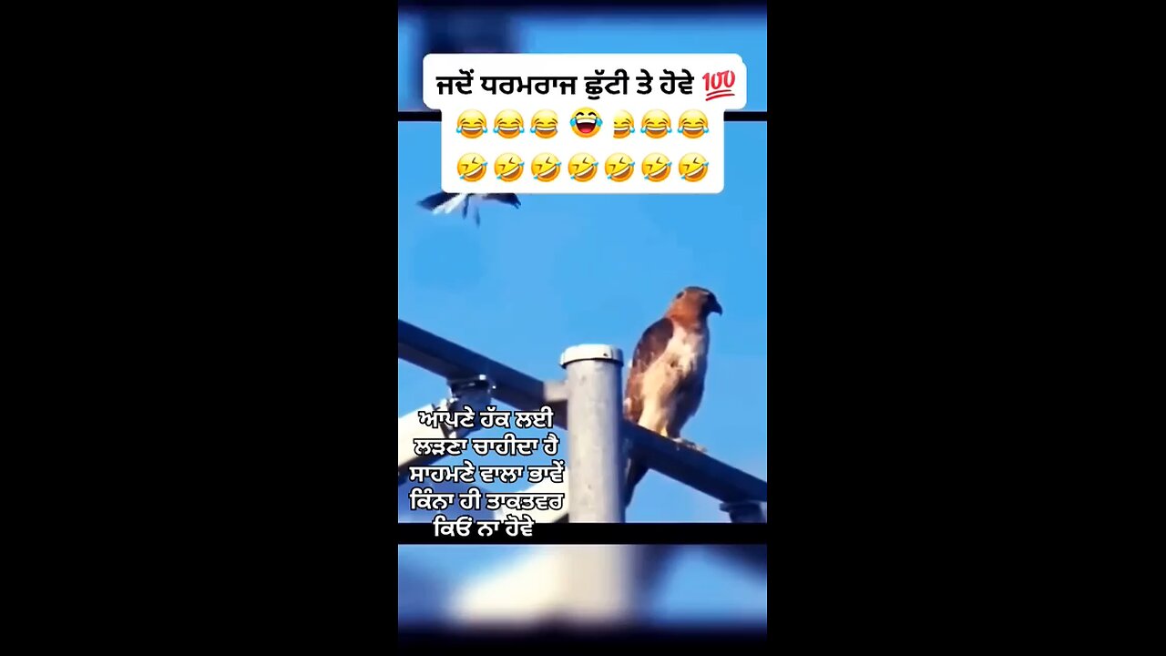 goodvdo