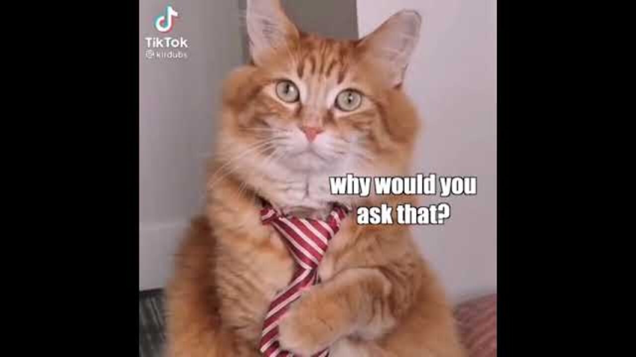 Funny Moments Caught by Camera