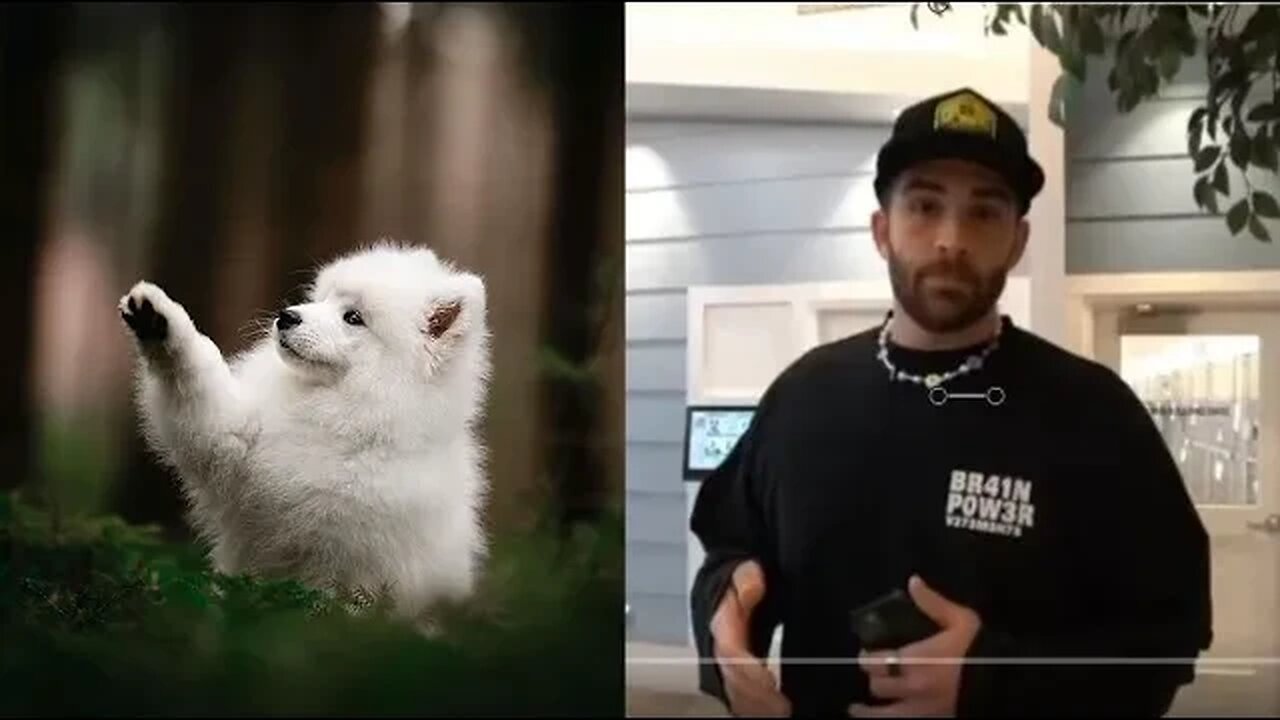 Hassan Piker In Trouble For Trying To Help Puppies