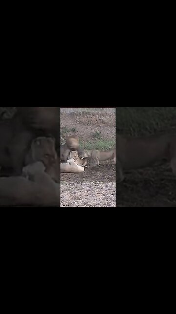 Every time corporate media say #bitcoin is 💀