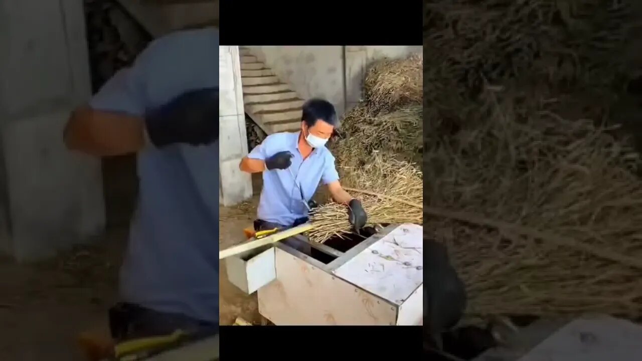 Broom making☺️ #shorts #broom making tutorial #china #Shorts