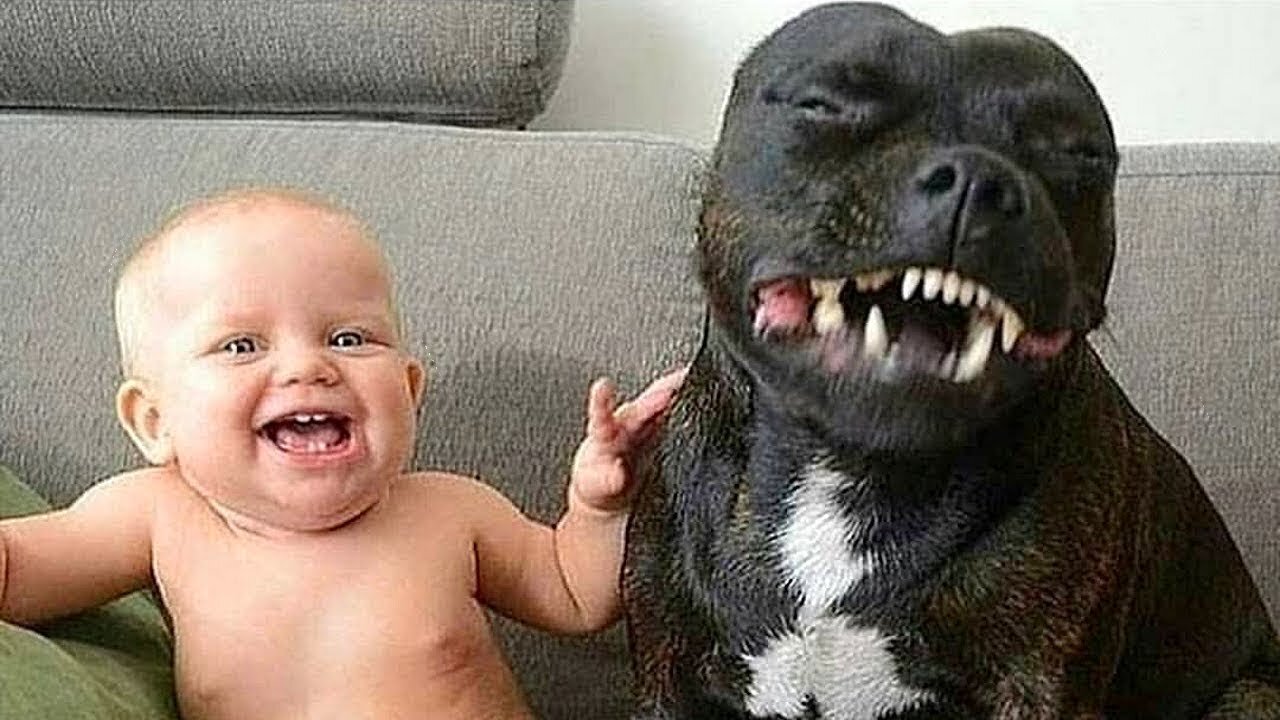 cute baby having a laugh🥰