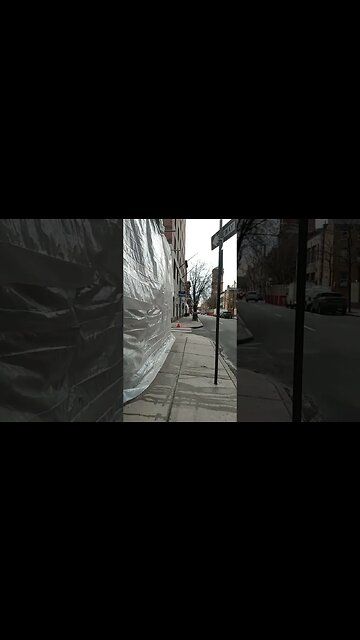 BAM! $5 million for squeaky pawed dog used to control conversation with me.