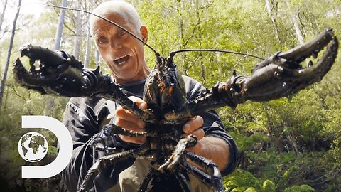 Jeremy Wade Finds Giant Crayfish