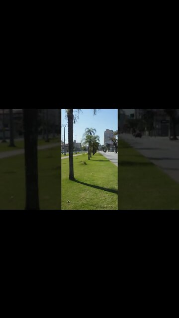 Nada é por Acaso! #shorts