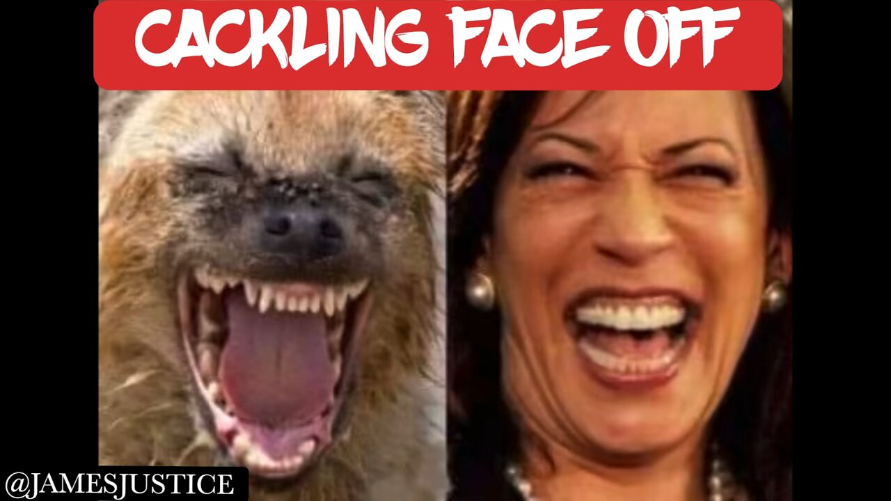 Kamala Harris cackling competition ￼ with hyena #UCNYNEWS￼￼