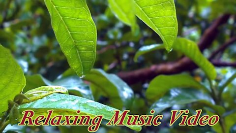 Wonderful Relaxing Music Video...Soothing Music Video...Calm Music Video...