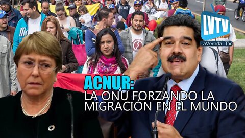 ACNUR: La ONU forzando la migración en el mundo