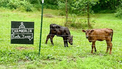 Going fishing on the farm