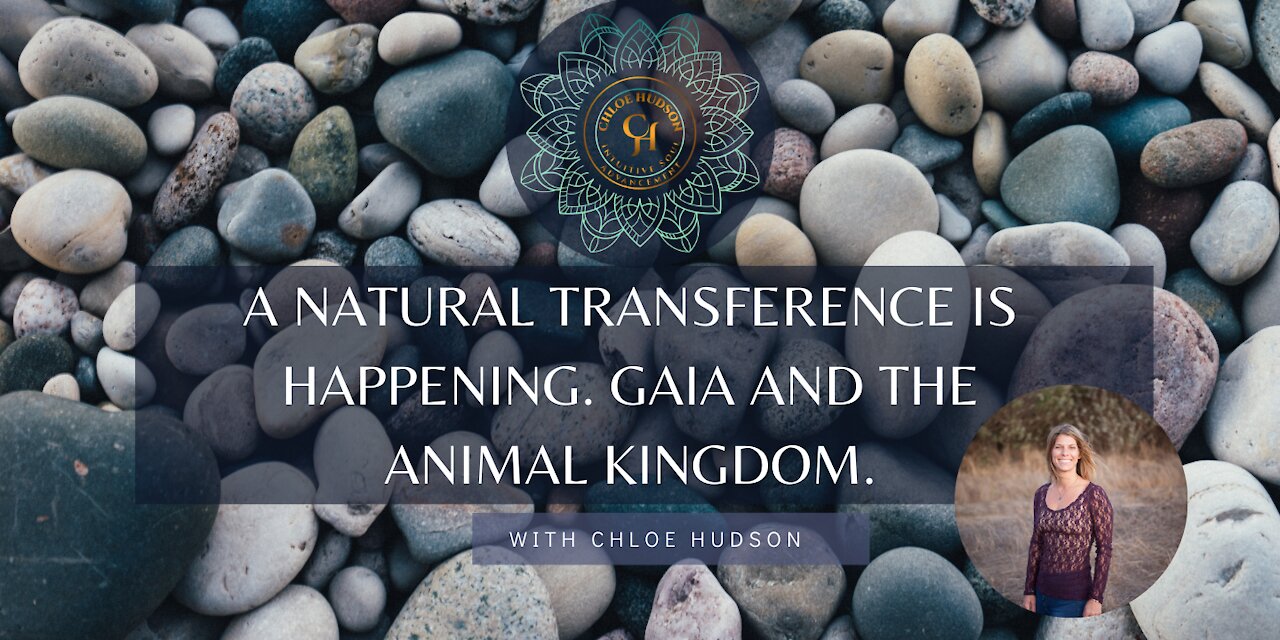 A Natural Transference is Happening. Gaia and The Animal Kingdom.