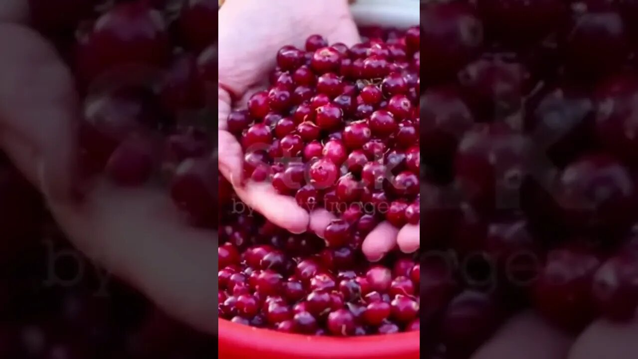 #cranberries #healthy #goodforyourhealth #healtyfood #supportmychannel 🙏🙏🙏