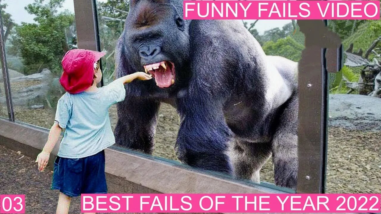 New Funny Videos 😂 Cutest People Doing Funny Things 03-2022