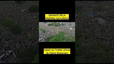 Gigant3 pel4 própri4 naturez4 #shorts