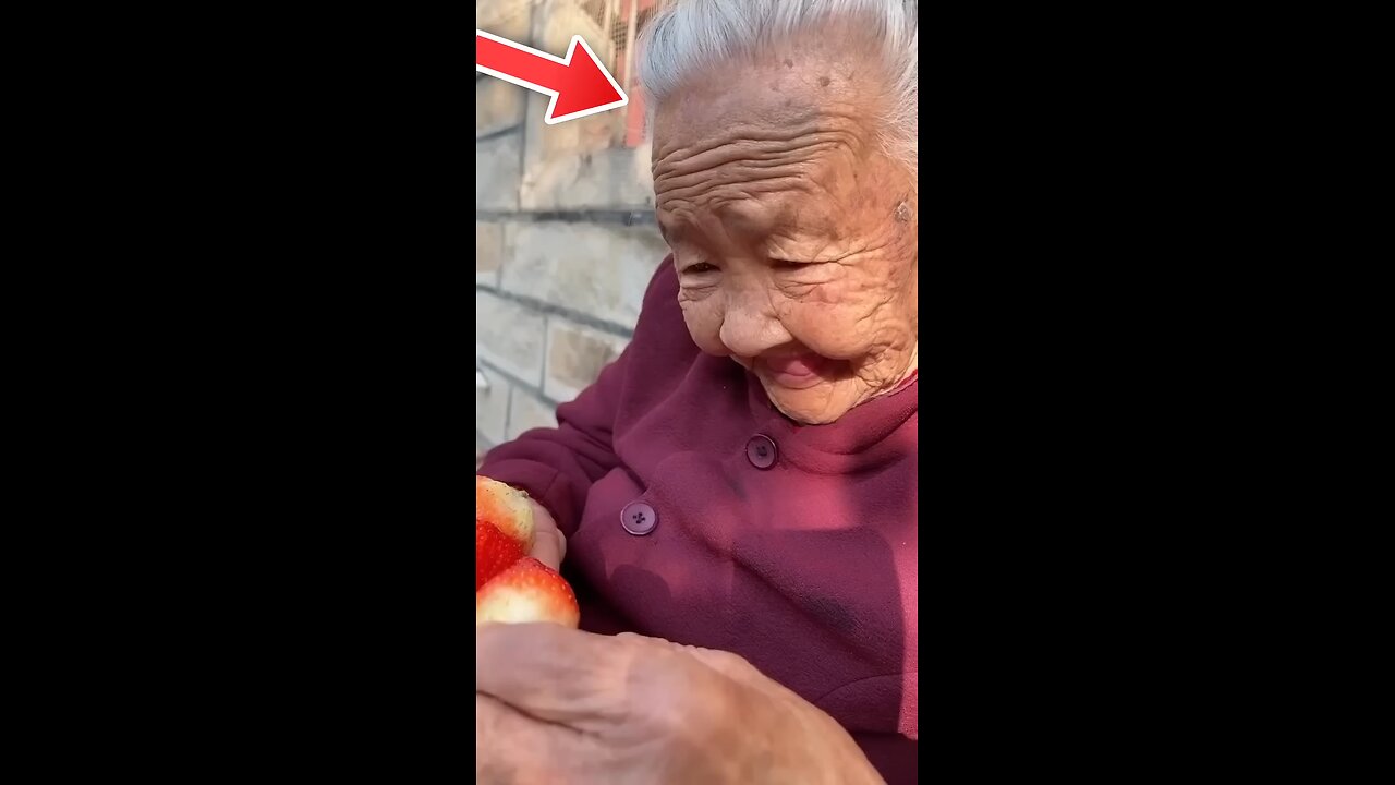 Grandma s Adorable Fail with a Strawberry 🍓