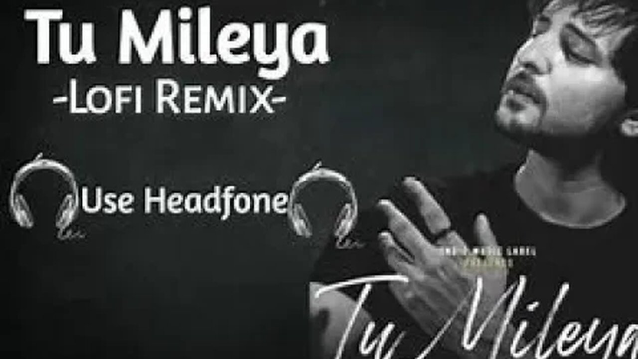 Tu Mileya ( LoFi Remix ) | Darshan Raval, Lijo George | Lyrics Video