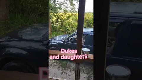 Dukes and daughters 💕