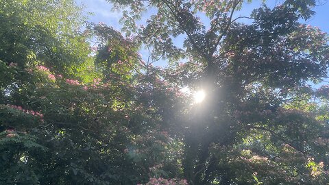 June 26 Daily Reminders
