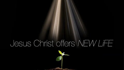 NEW LiFE Live | Християнин і сила Божа / Christian and Power of God | Pastor Bogdan Malsky / Богдан