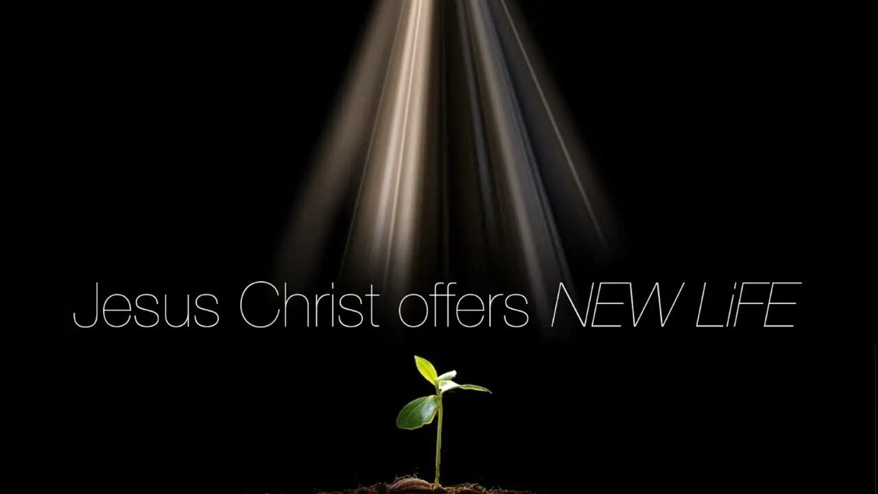 NEW LiFE Live | Християнин і сила Божа / Christian and Power of God | Pastor Bogdan Malsky / Богдан