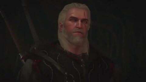 Witcher 3: Wild Hunt playthrough part 15
