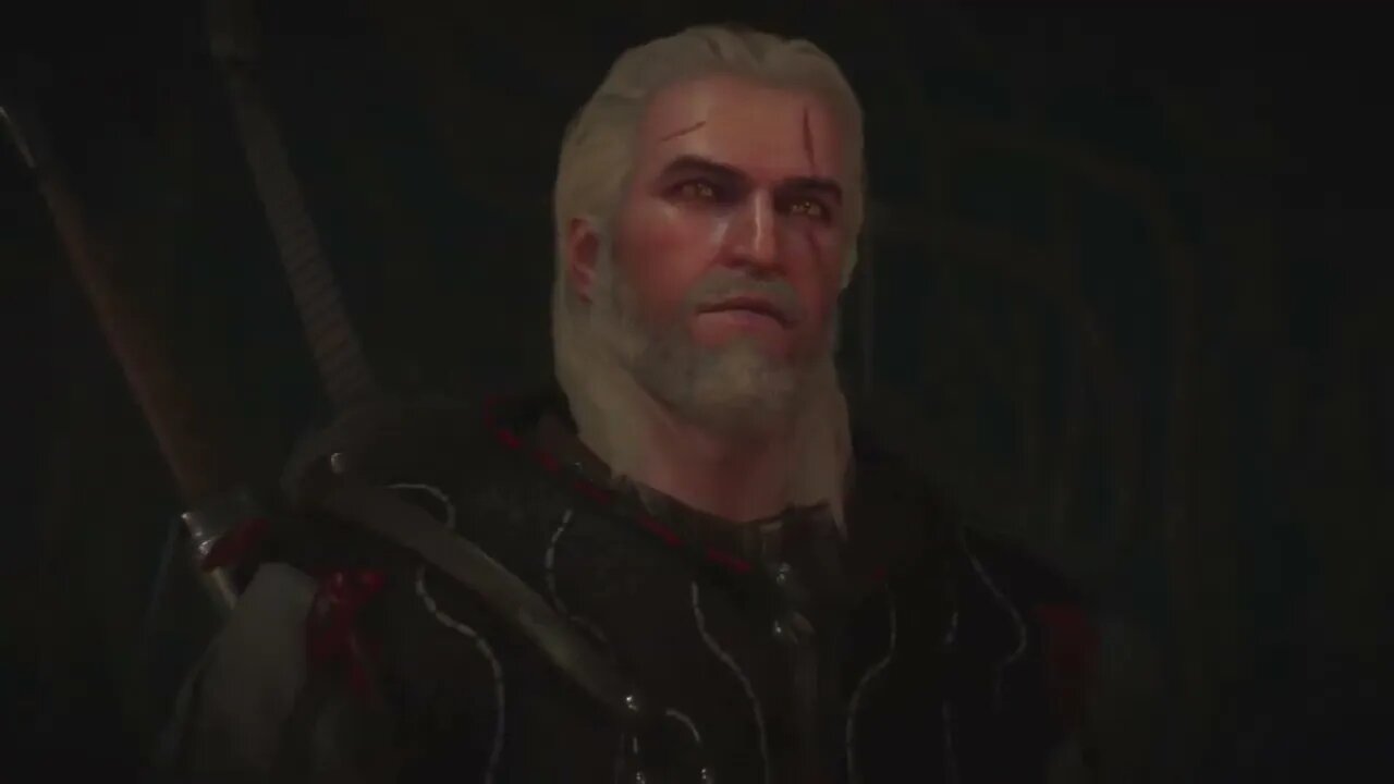 Witcher 3: Wild Hunt playthrough part 15