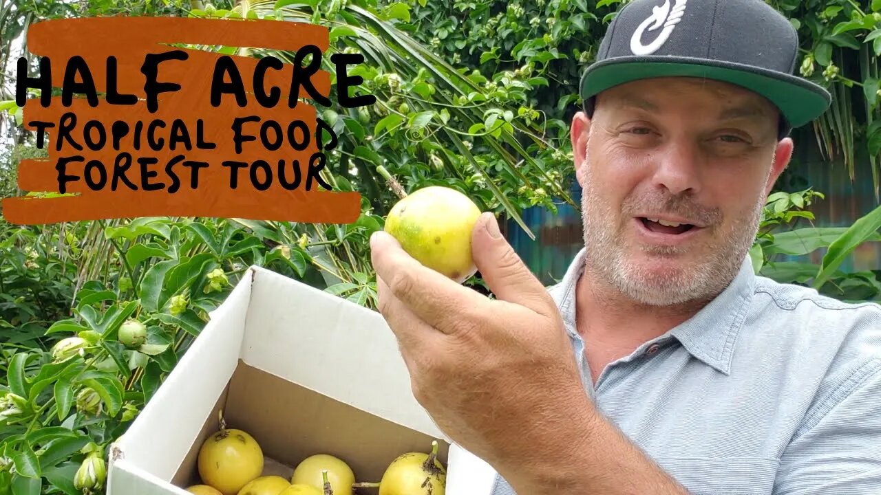 10 Year Old Tropical Food Forest Tour On A Half Acre In Hawai'i (With Tips To Make Yours Thrive)