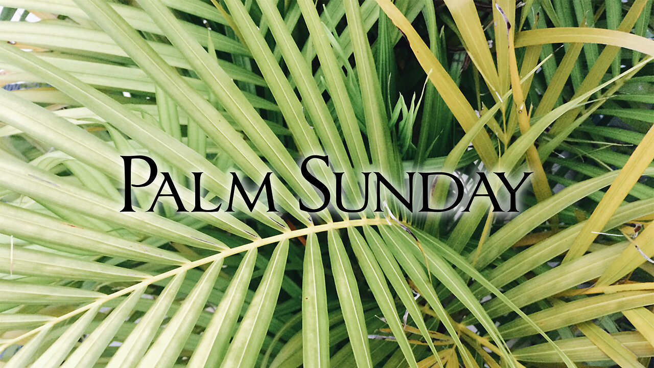 Palm Sunday Luke 19:29-48