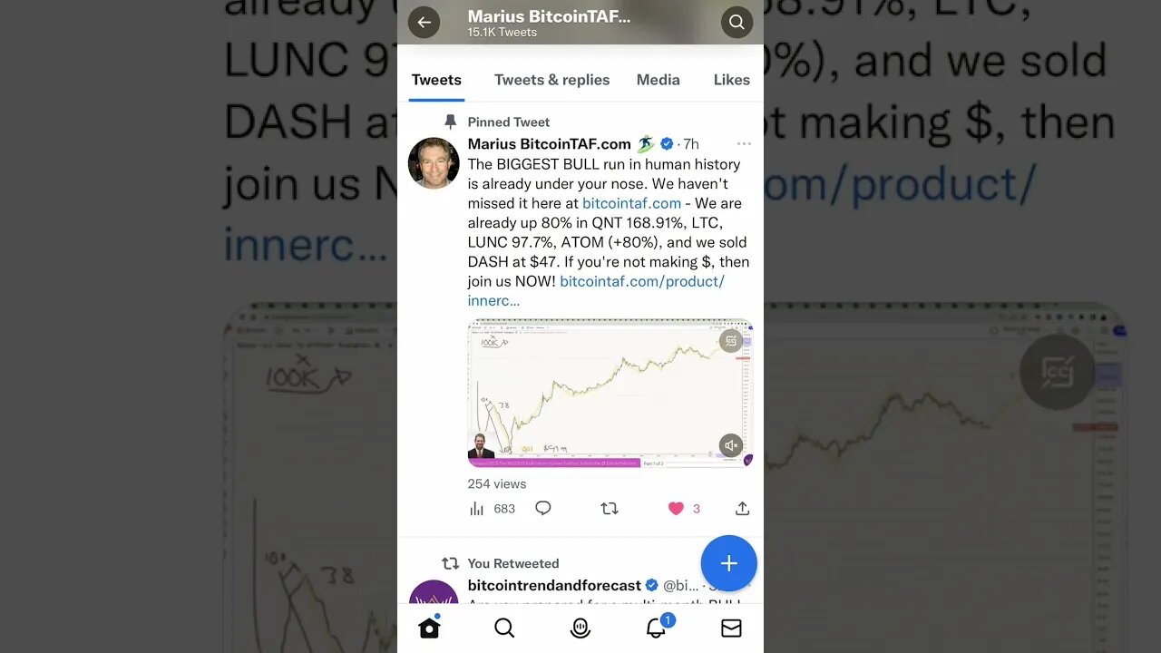 Biggest bull run ever coming
