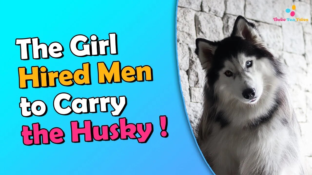 The Girl Who Hired Men to Carry the Husky