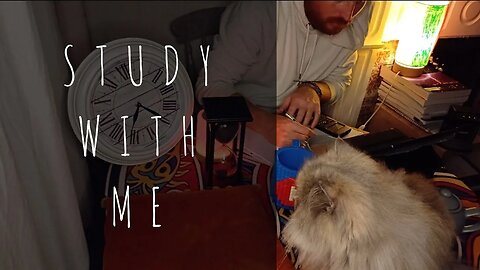 STUDY WITH ME 📚🐈 | 2 HOUR | CAT PURRS | CALM | Day: 26