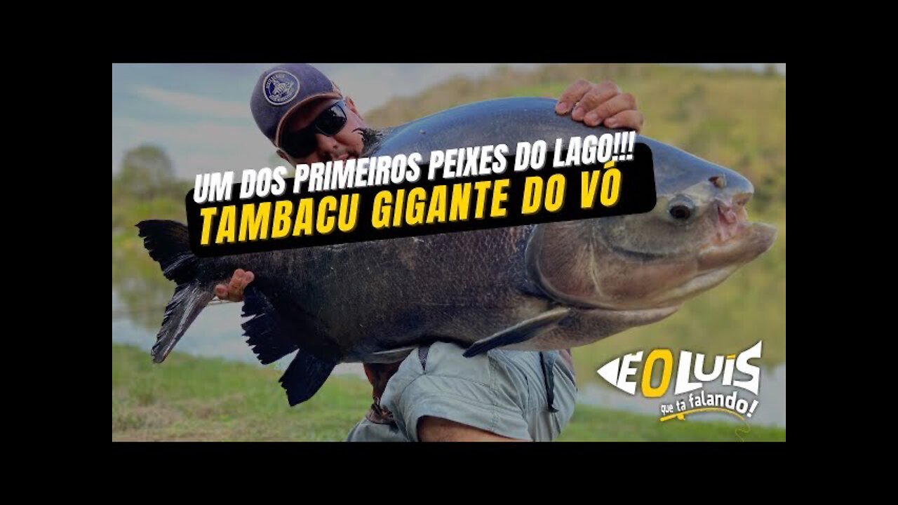 ACERTEI UM DOS PRIMEIROS PEIXES DO PESQUEIRO