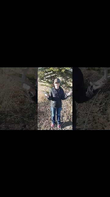 She found a couple more! #shedhunting #outdoors #deer #deerhunting #antlers #shortsvideo #shortsfeed