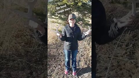 She found a couple more! #shedhunting #outdoors #deer #deerhunting #antlers #shortsvideo #shortsfeed