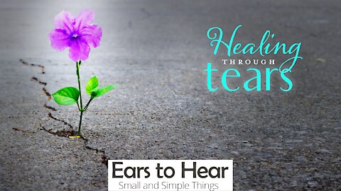 Small and Simple Things 8 - Healing through Tears