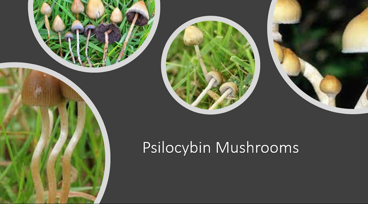 Magic Mushrooms - Psilocybin - Benefits & Side Effects