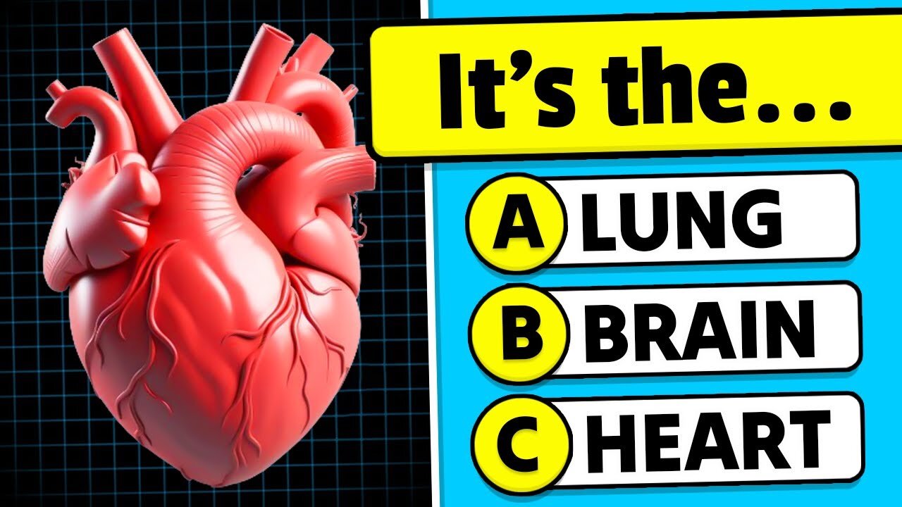 🧠 Can You Pass This Human Body Quiz? 🧍💪🧬 General Knowledge Quiz