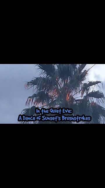 In The Quiet Eve: A Dance of Sunset's Brushstrokess
