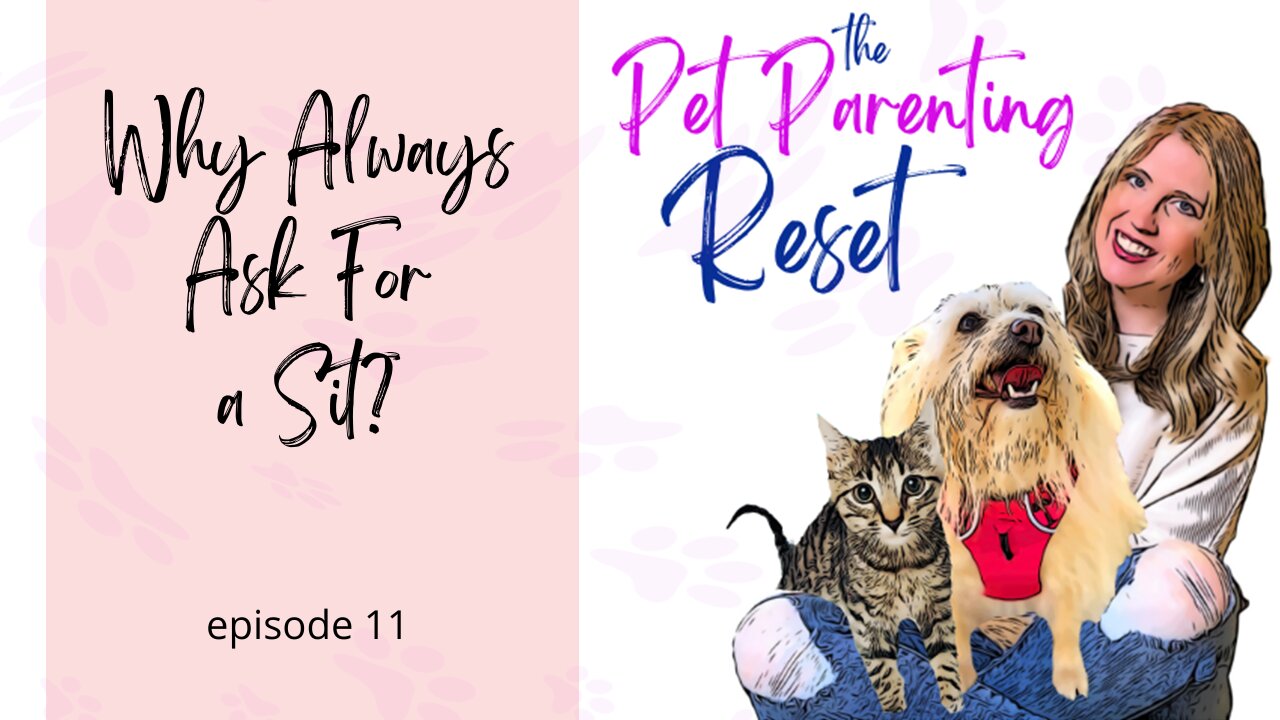 Why Are We Asking Our Dogs To Sit So Much? | The Pet Parenting Reset, episode 11