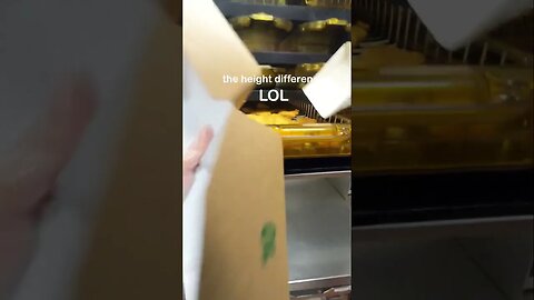 McNuggets | Expert VS Beginner