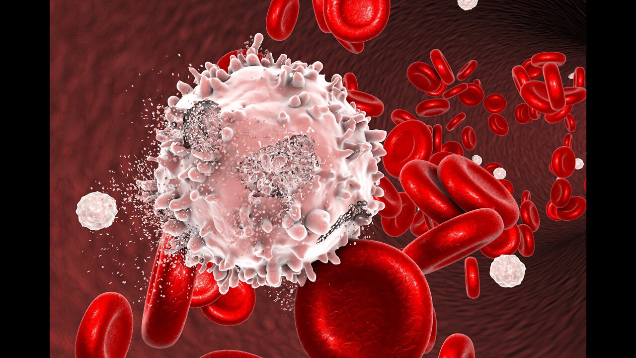 what are the common symptoms, risk factors of blood cancer?