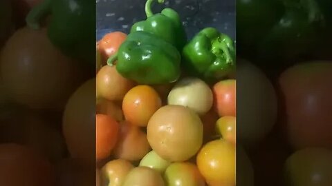 Our garden was bountiful this year- THANK YOU LORD- Tomatoes and bell peppers #gardening