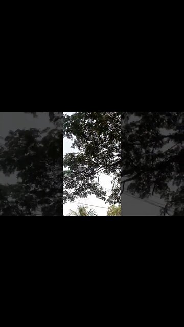 #shortvideo #trending #baby