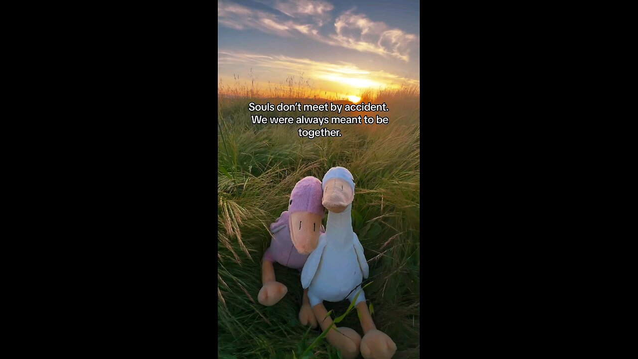 souls don’t meet by accident. we were always meant to be together. #love #relationship #real